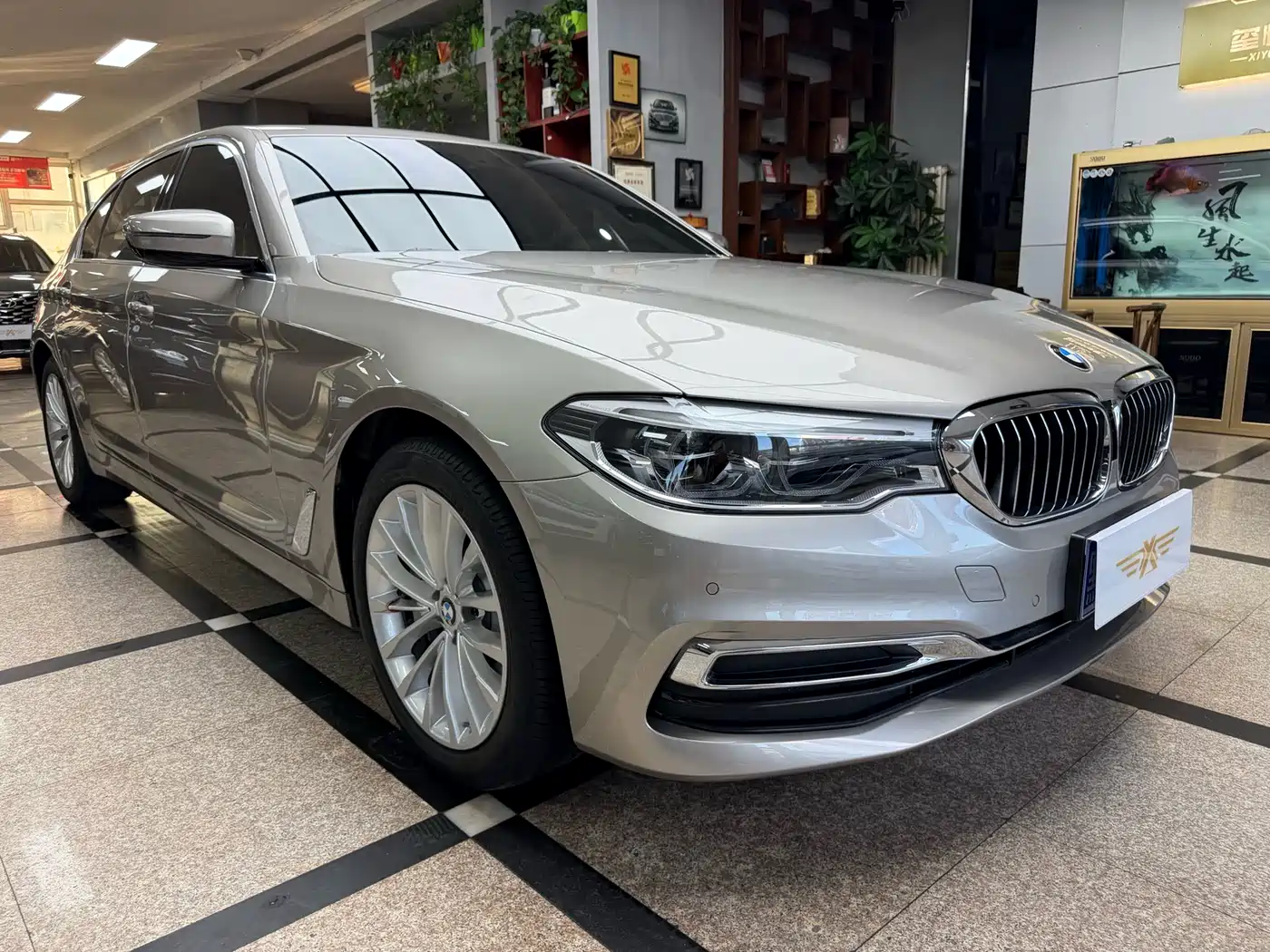 BMW 5 Series 2020 530Li xDrive Luxury Package фото 3