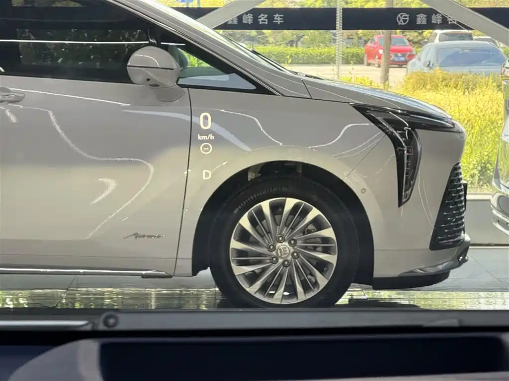 Buick Century 2025 2.0T 7-Seater World Edition фото 19