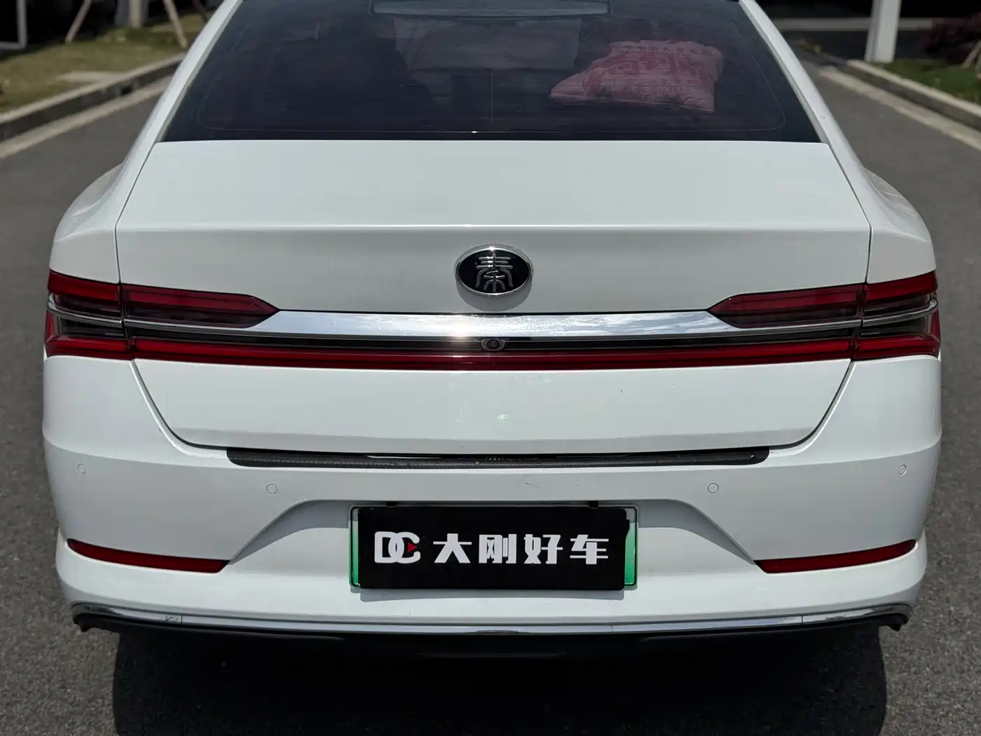 BYD QINHUANGDAO NEW ENERGY