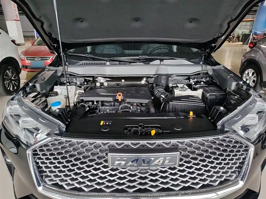 Haval H6 2021 3rd Gen 1.5T Auto 2WD Pro фото 20