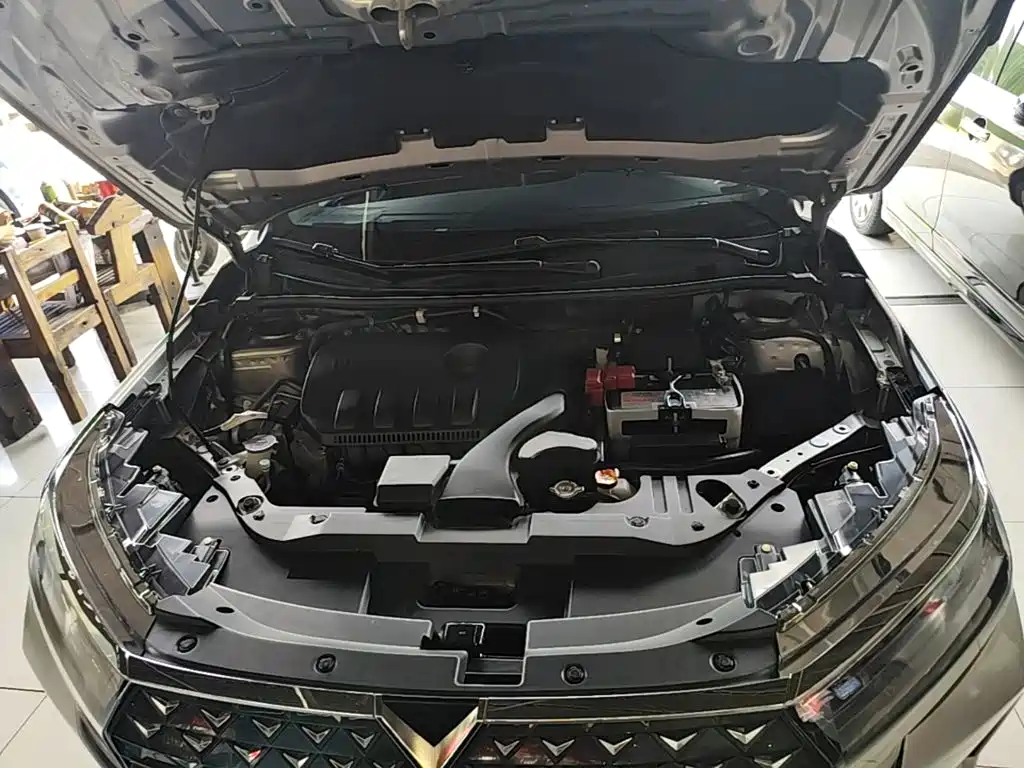 Venucia D60 2021 2021 PLUS 1.6L XL CVT Joy Leader Edition