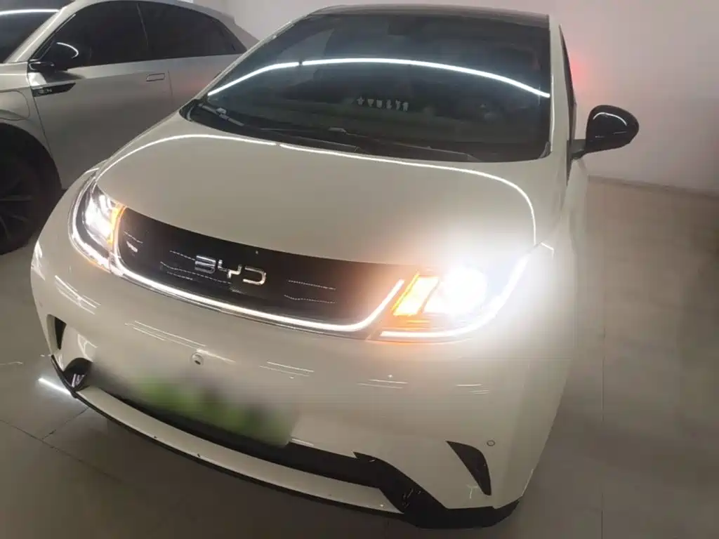 Фото 3 - BYD Dolphin