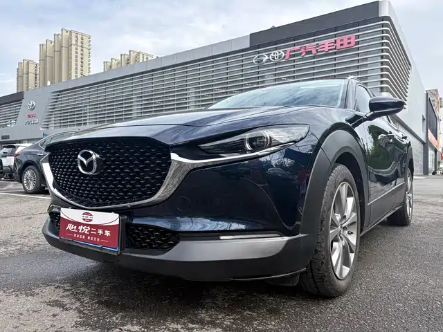 Mazda CX-30 2021 2.0L Auto Premium Joy Type
