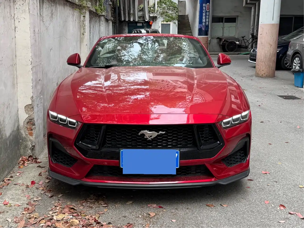 Ford Mustang 2024 2.3T EcoBoost Convertible Sport Edition фото 2
