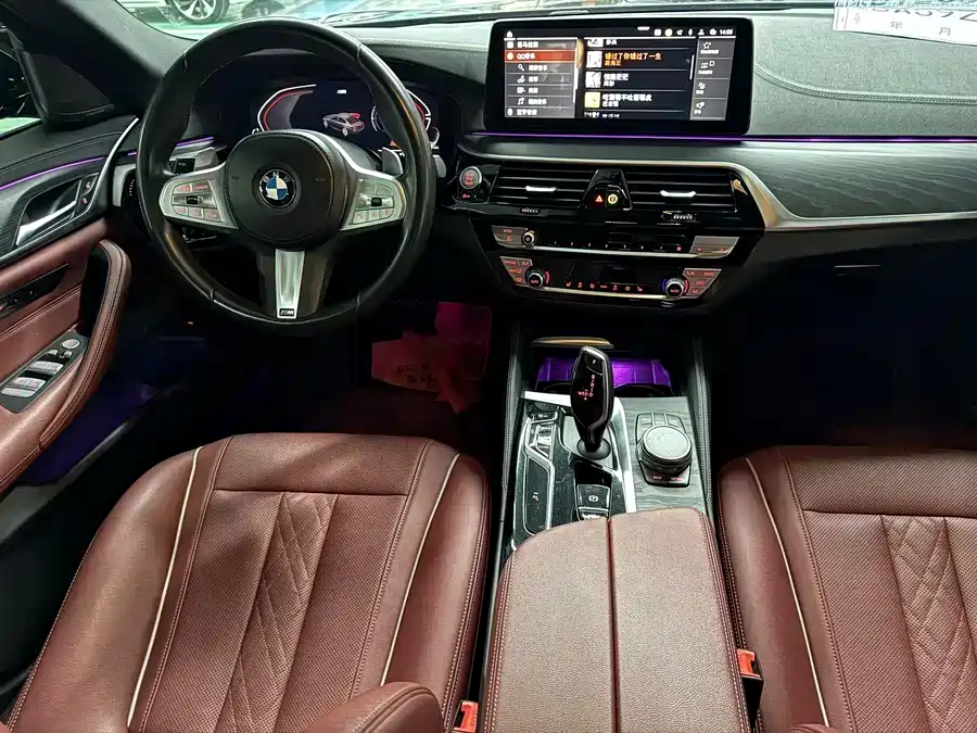 BMW 5 SERIES