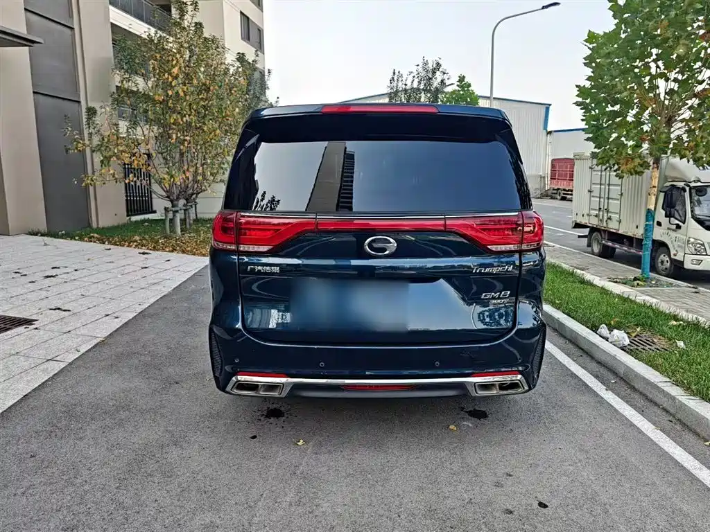GAC Trumpchi Trumpchi M8 2020 Pilot 390T Prestige Edition фото 16