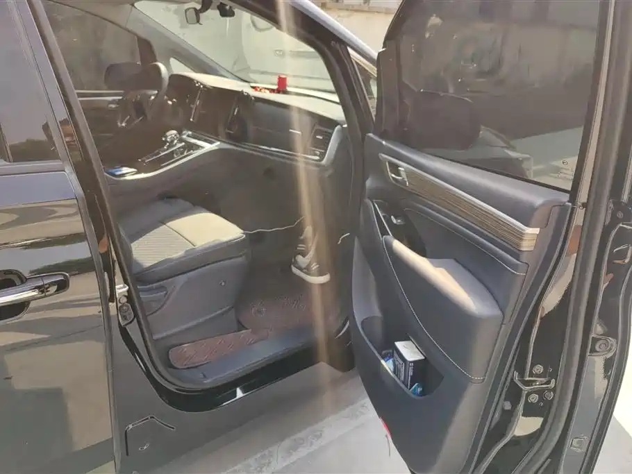 GAC Trumpchi Trumpchi M8 2024 Leadershow Series 390T Luxury Edition фото 8