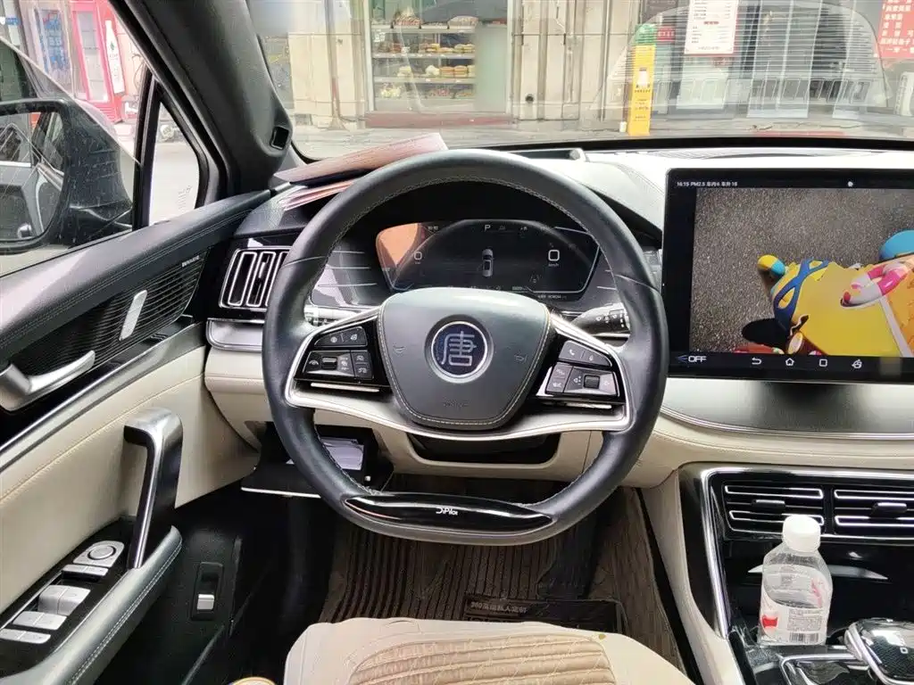 BYD Tang New Energy 2022 DM-p 215KM AWD Flagship фото 7
