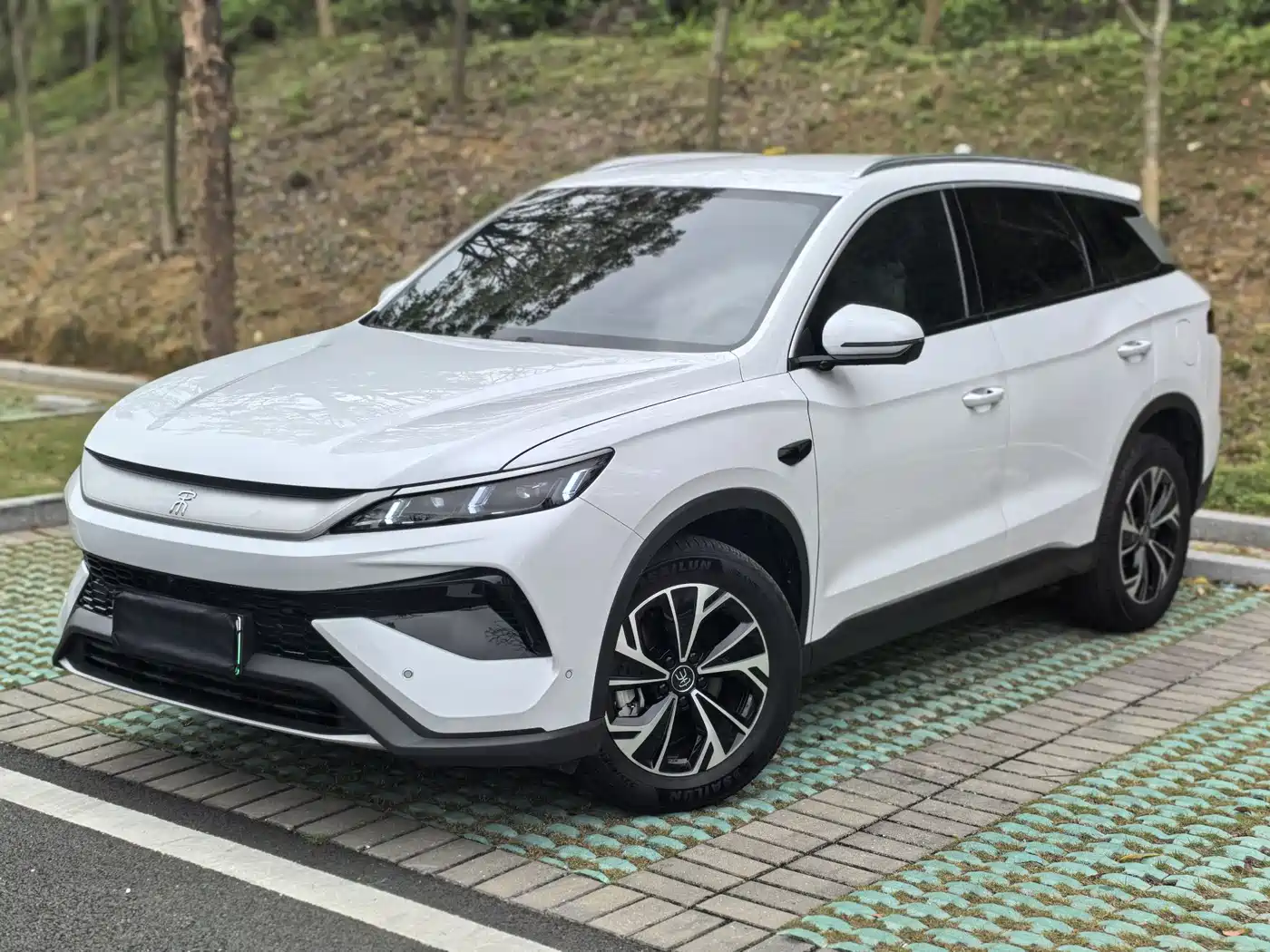 BYD SONGJIANG NEW ENERGY