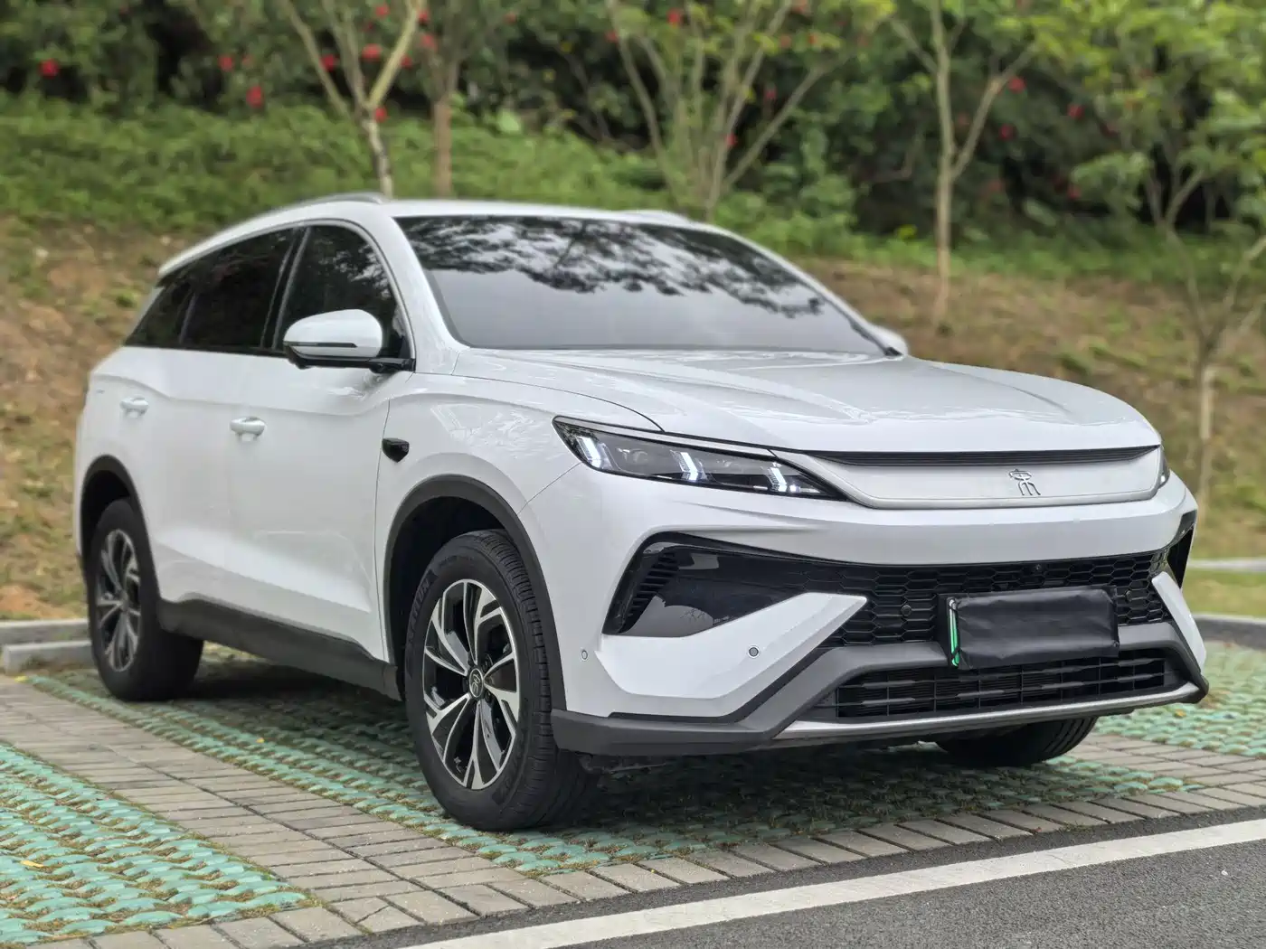 BYD SONGJIANG NEW ENERGY