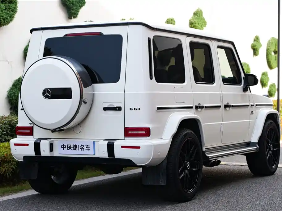 Mercedes-Benz G-Class 2019 G 500 фото 28