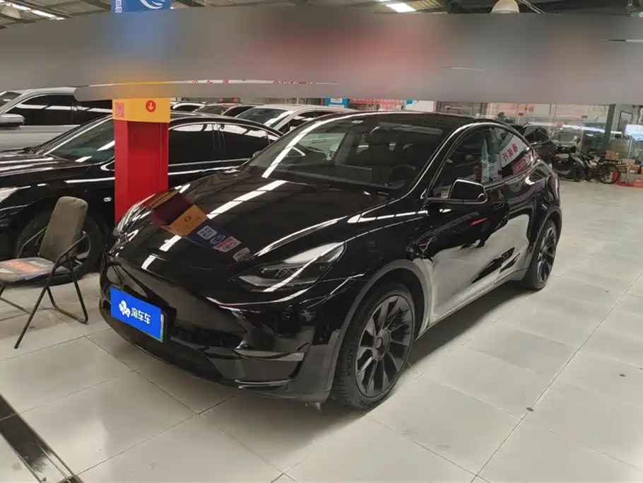 Tesla Model Y 2021 Standard Range Rear-Wheel Drive