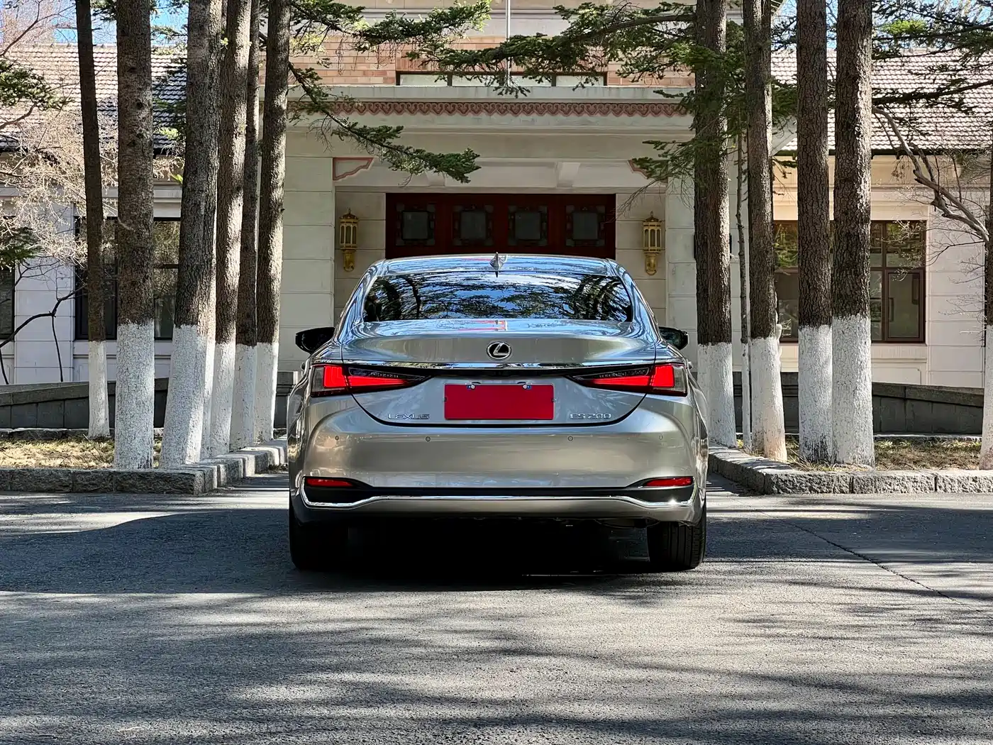 Lexus ES 2024 200 Premium Edition фото 8
