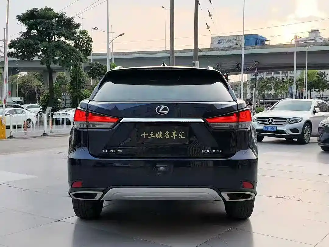 LEXUS RX