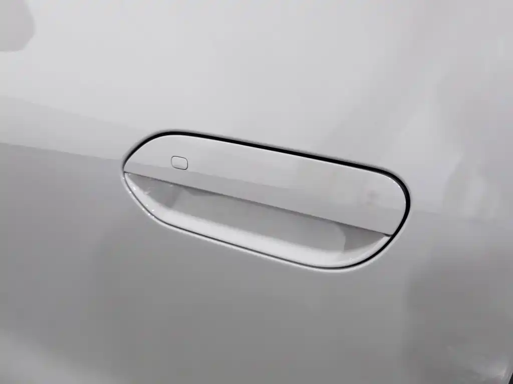 Geely Galaxy Starry Wish 2026 2026 Edition 310km Youth Version