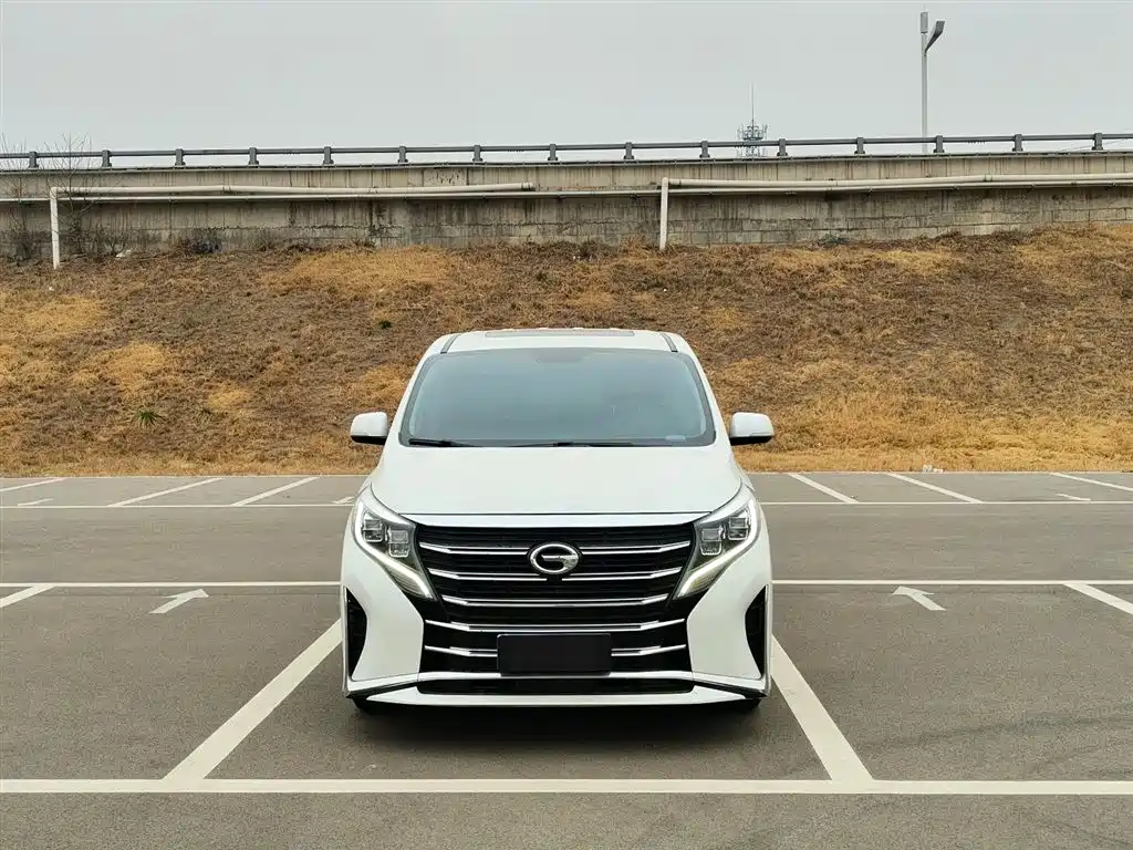 GAC Trumpchi Trumpchi M8 2023 Leading Series 390T Luxury Edition фото 3