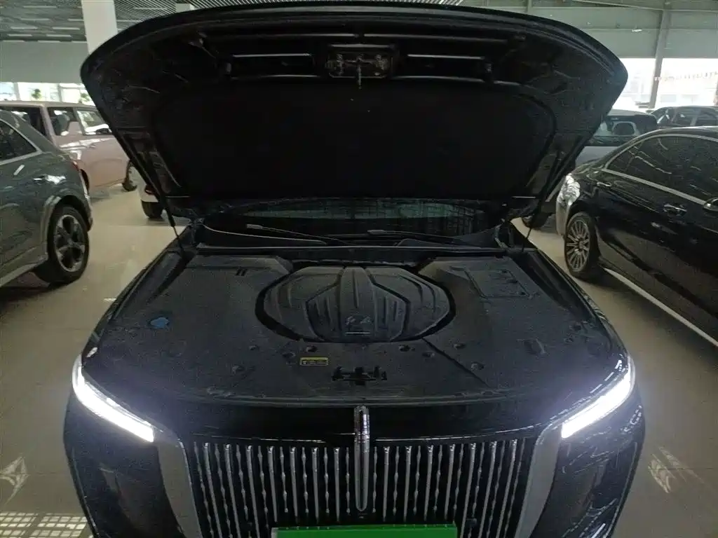 Hongqi H9 2020 2.0T Smart Connection Qi Xiang Edition фото 20