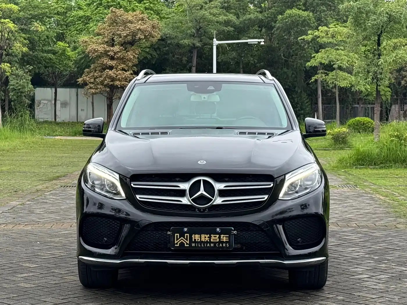 Mercedes-Benz GLE 2018 GLE 320 4MATIC Dynamic Ultimate Edition фото 2