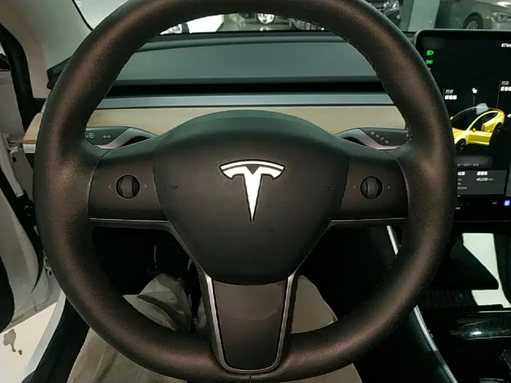 Фото 11 - Tesla Model 3