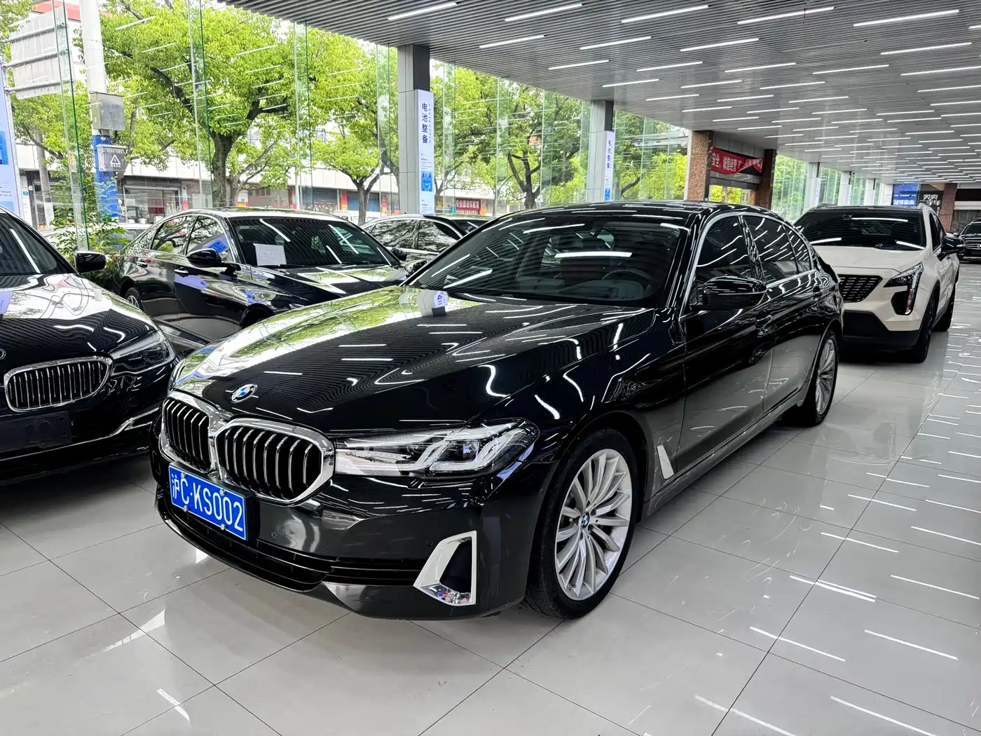 BMW 5 Series 2021 530Li Premium Luxury Package