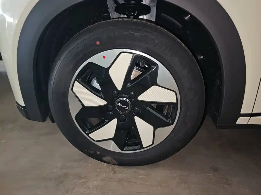 BYD Dolphin 2026 2025 420km Freedom Edition