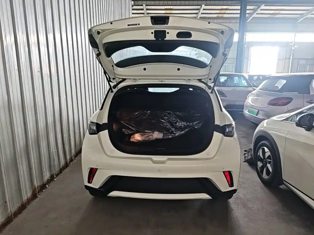 BYD Dolphin 2026 2025 420km Freedom Edition