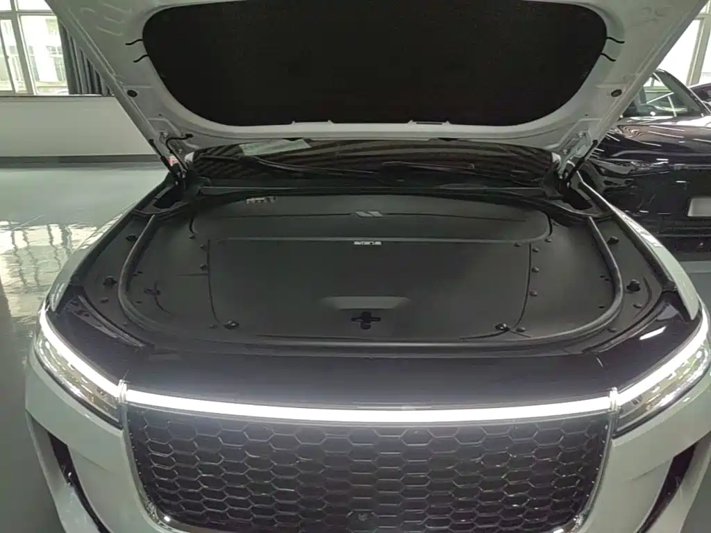 Фото 20 - Li Auto Li ONE