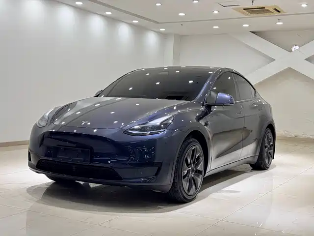 Tesla Model Y Задний привод