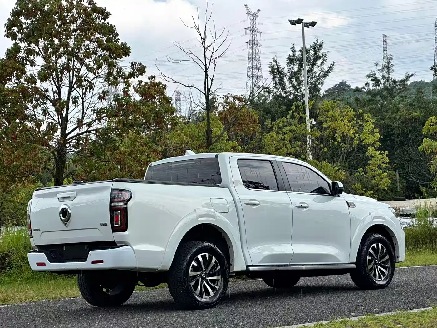 Фото 4 - Great Wall Pao