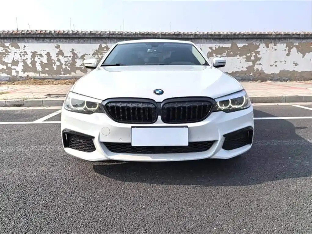 BMW 5 Series 2019 530Li Premium Luxury Package фото 2