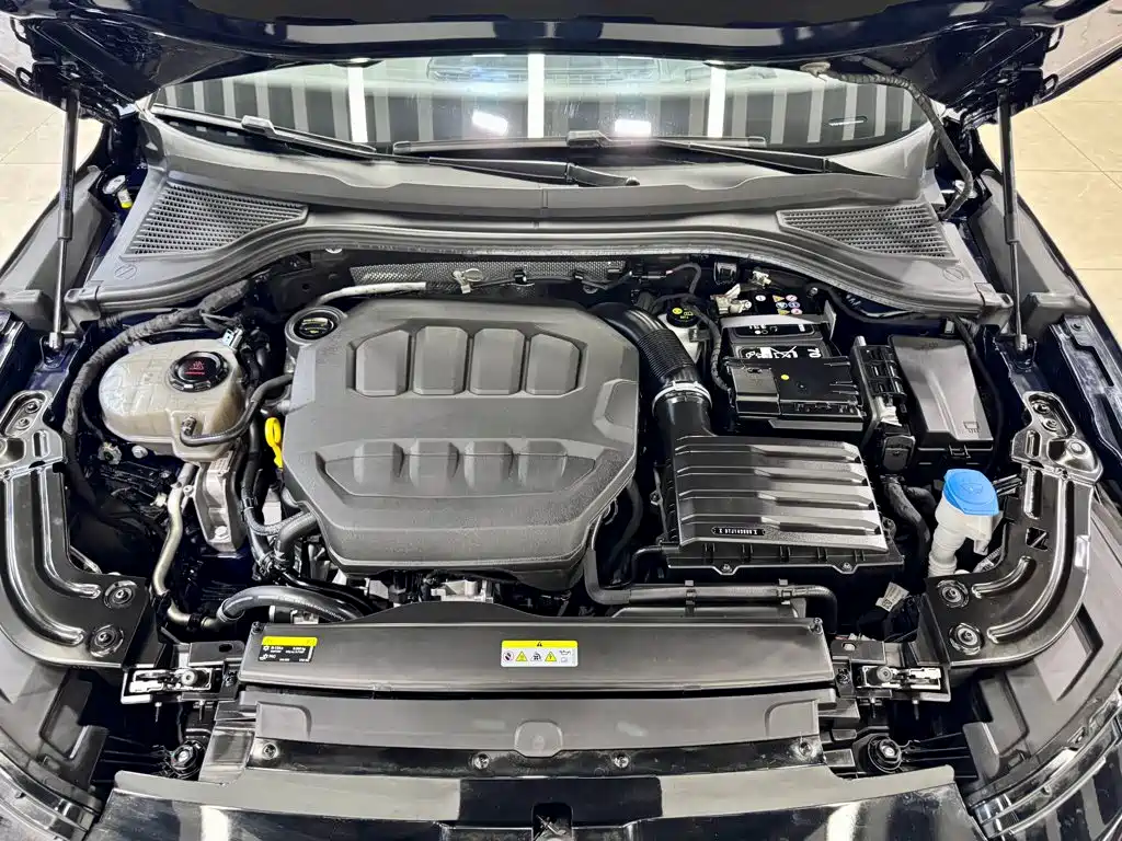 Volkswagen Magotan 2024 2024 380TSI DSG Ultimate Edition