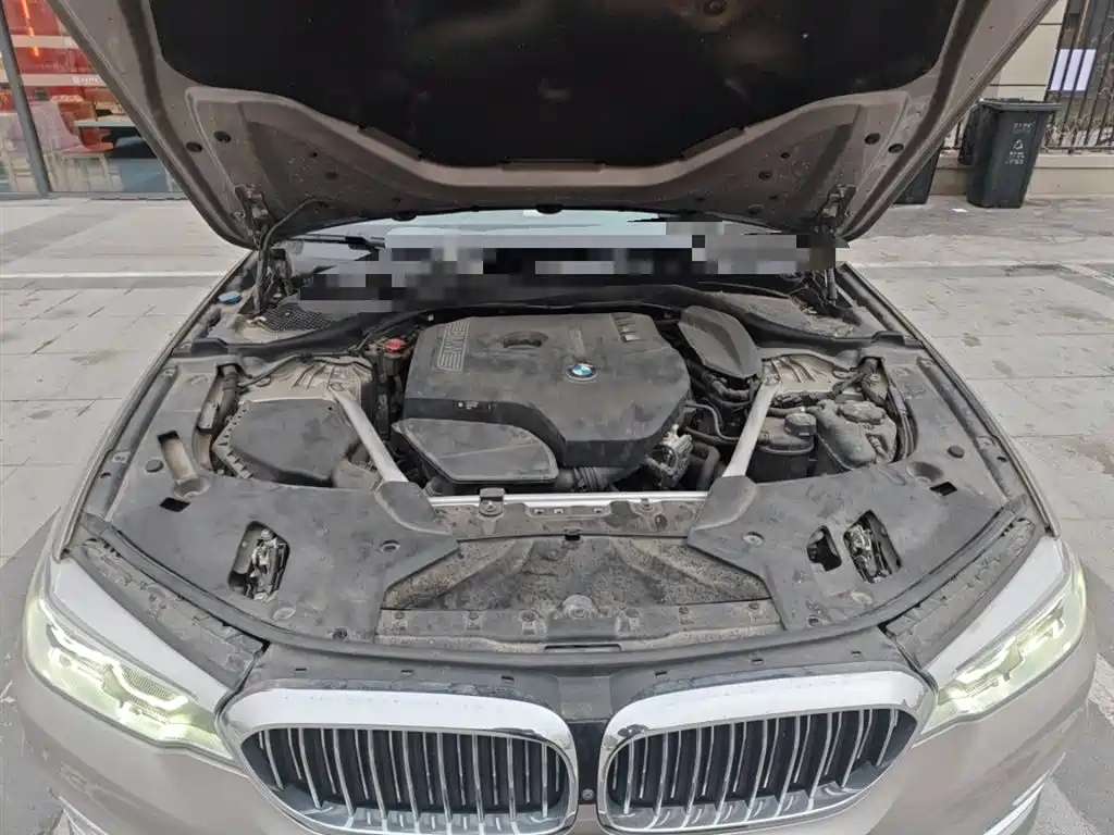 BMW 5 Series 2020 530Li Premium Luxury Package фото 11
