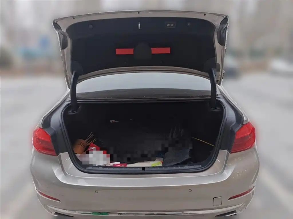BMW 5 Series 2020 530Li Premium Luxury Package фото 10