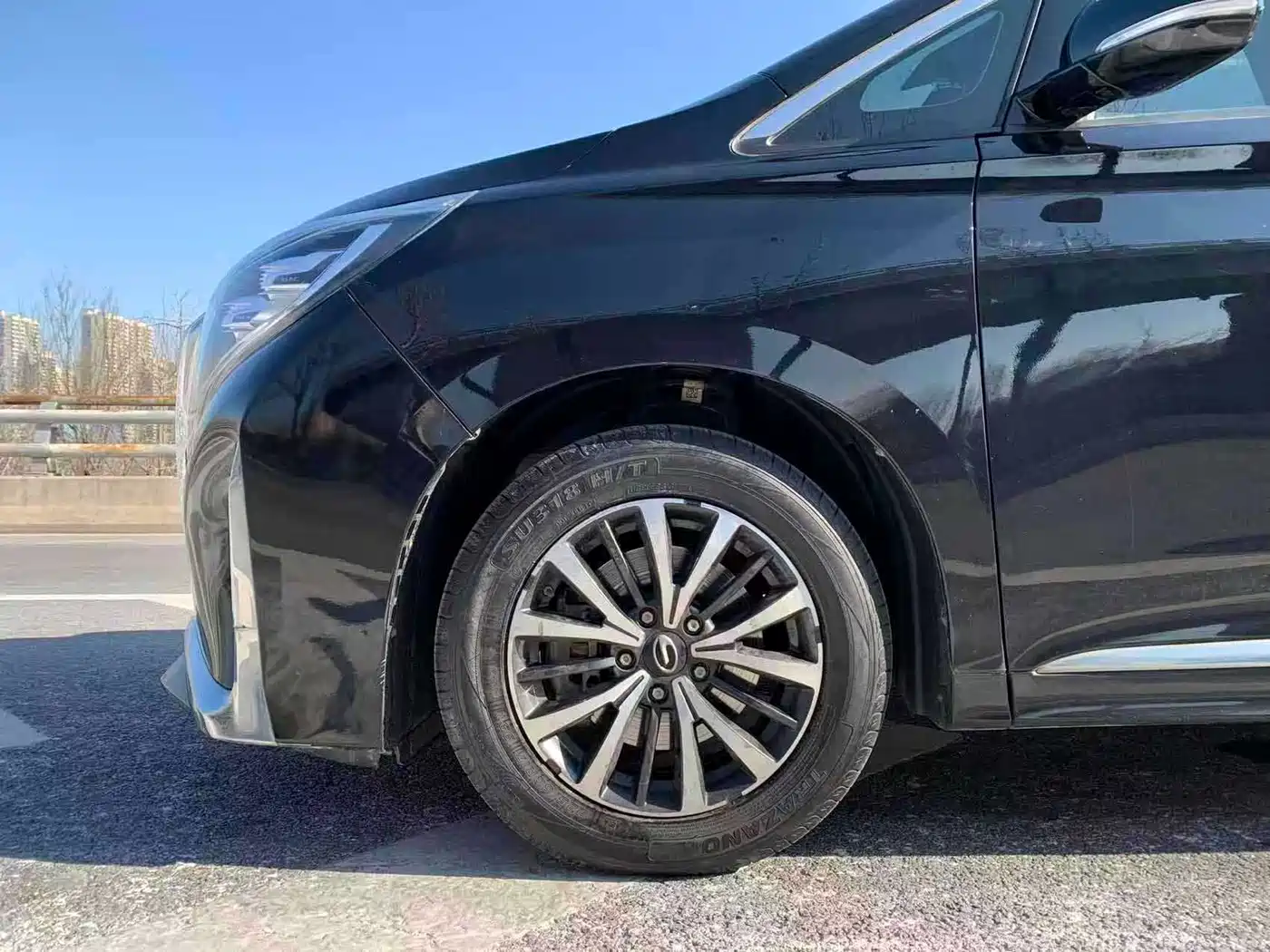 GAC Trumpchi Trumpchi M8 2021 Leading Show Series 390T Premium Edition фото 8