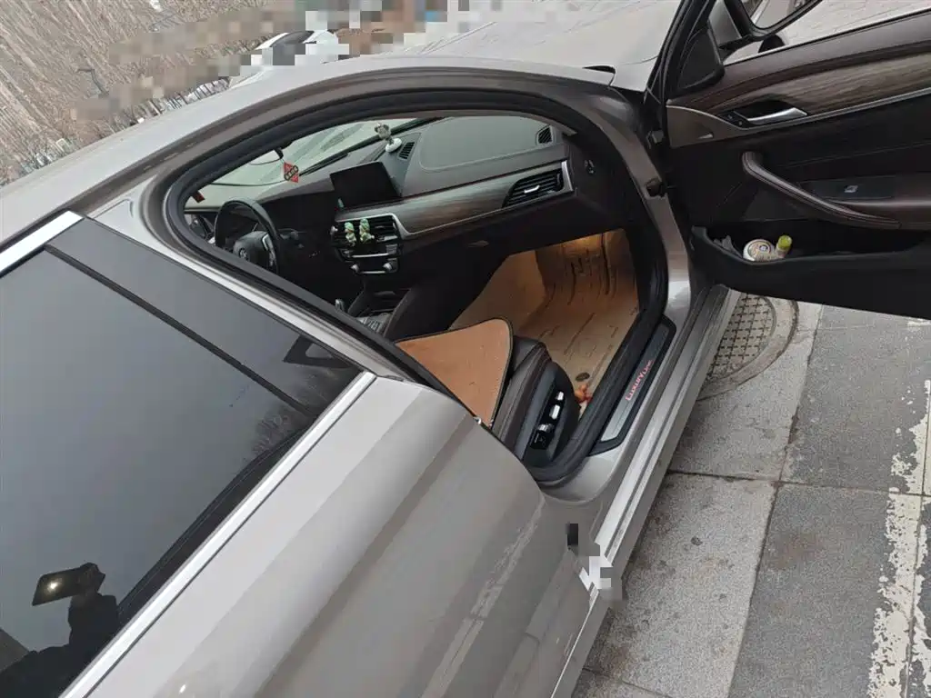 BMW 5 Series 2020 530Li Premium Luxury Package фото 20