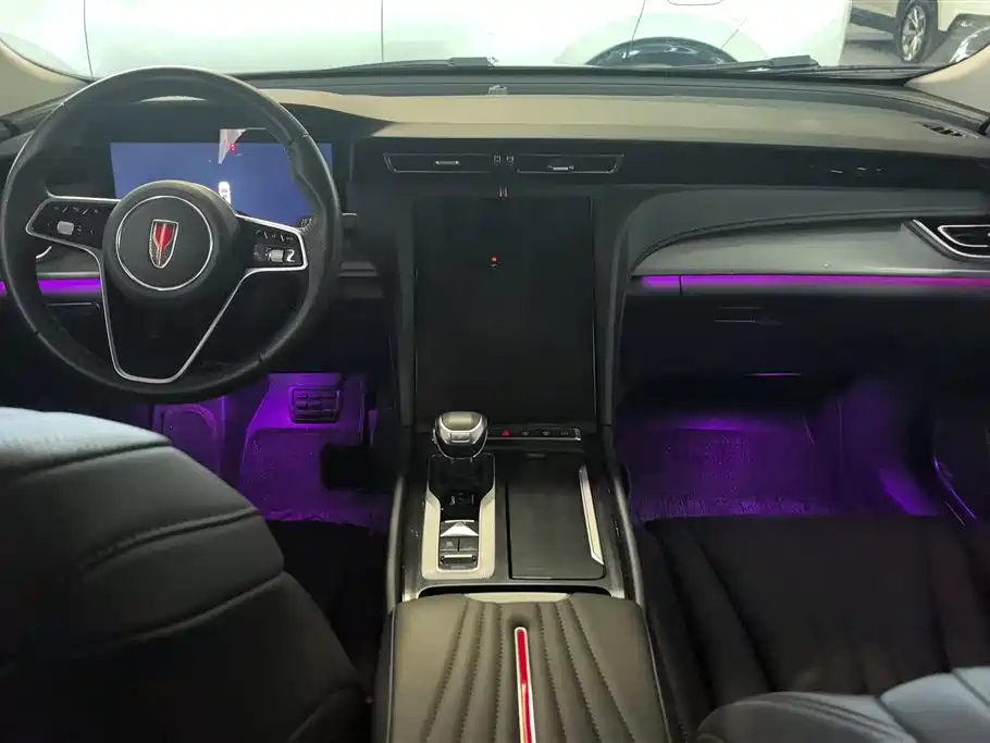 Hongqi H5 2023 2.0T Auto Smart Connect Flag Comfort фото 12