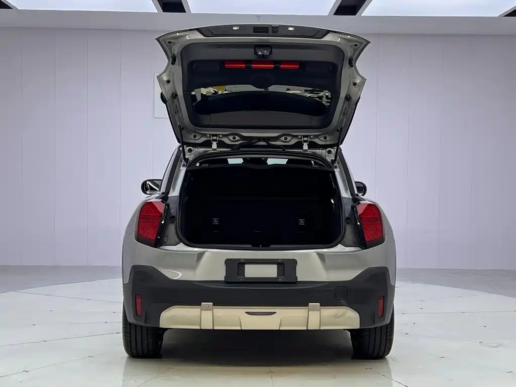 MINI Electric MINI ACEMAN 2025 2024 Model SE Artist