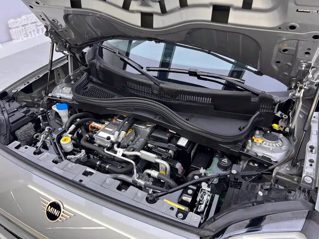 MINI Electric MINI ACEMAN 2025 2024 Model SE Artist