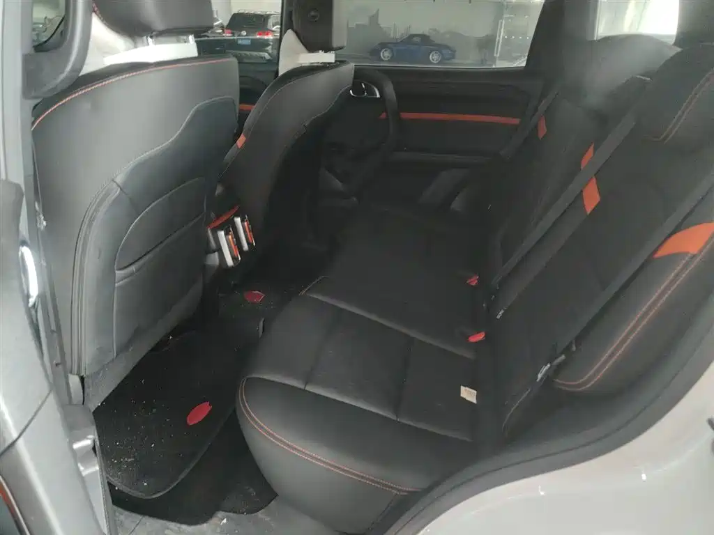 Haval Big Dog 2021 1.5T DCT 2WD Labrador Edition фото 17