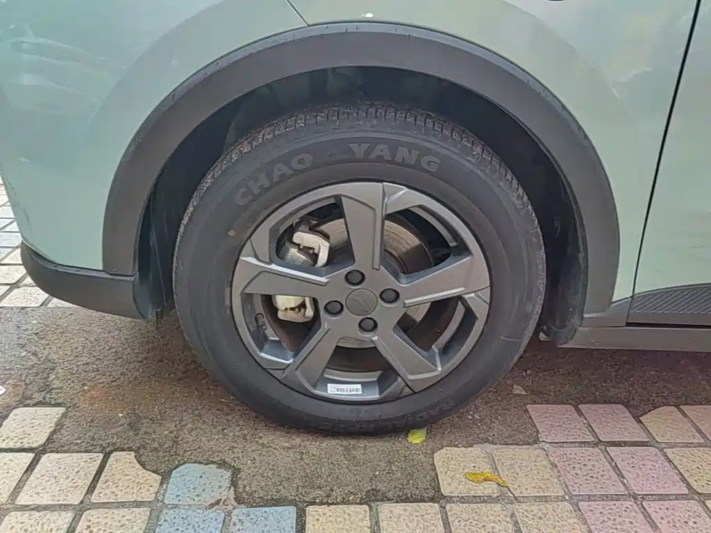 Geely Geometry E Firefly 2022 2023 401KM Linglong Tiger 5-Seater