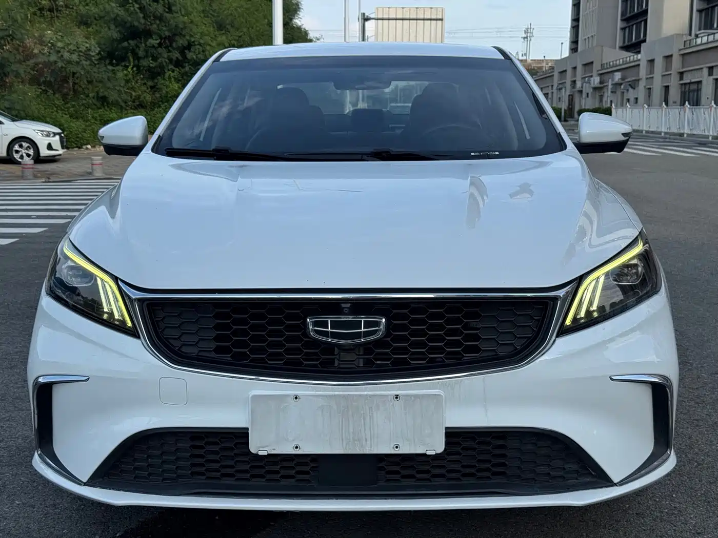 Фото 2 - Geely Binrui