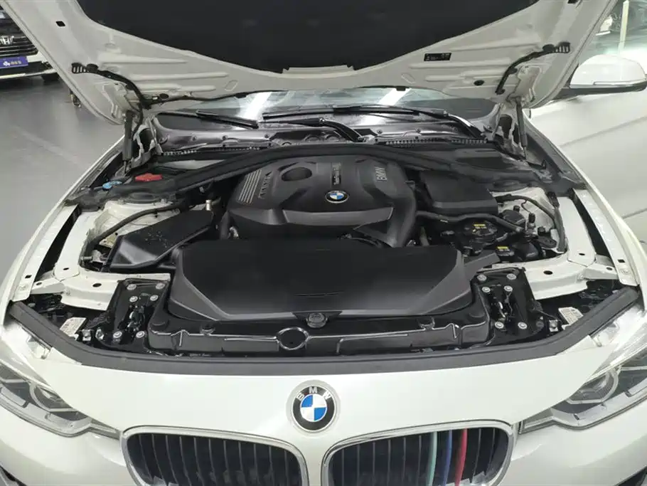 BMW 3 Series 2017 320Li Fashion фото 10