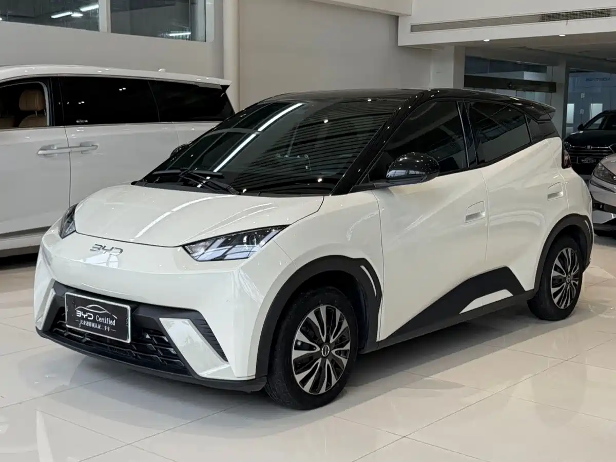 BYD Seagull 2024