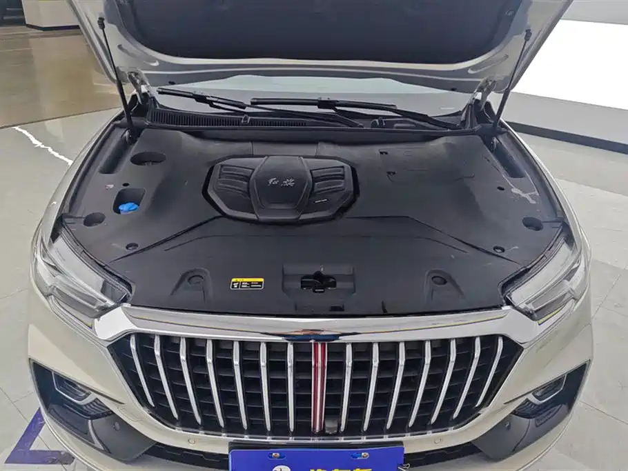 Hongqi HS5 2019 2.0T Smart Connect Enjoy Edition фото 10