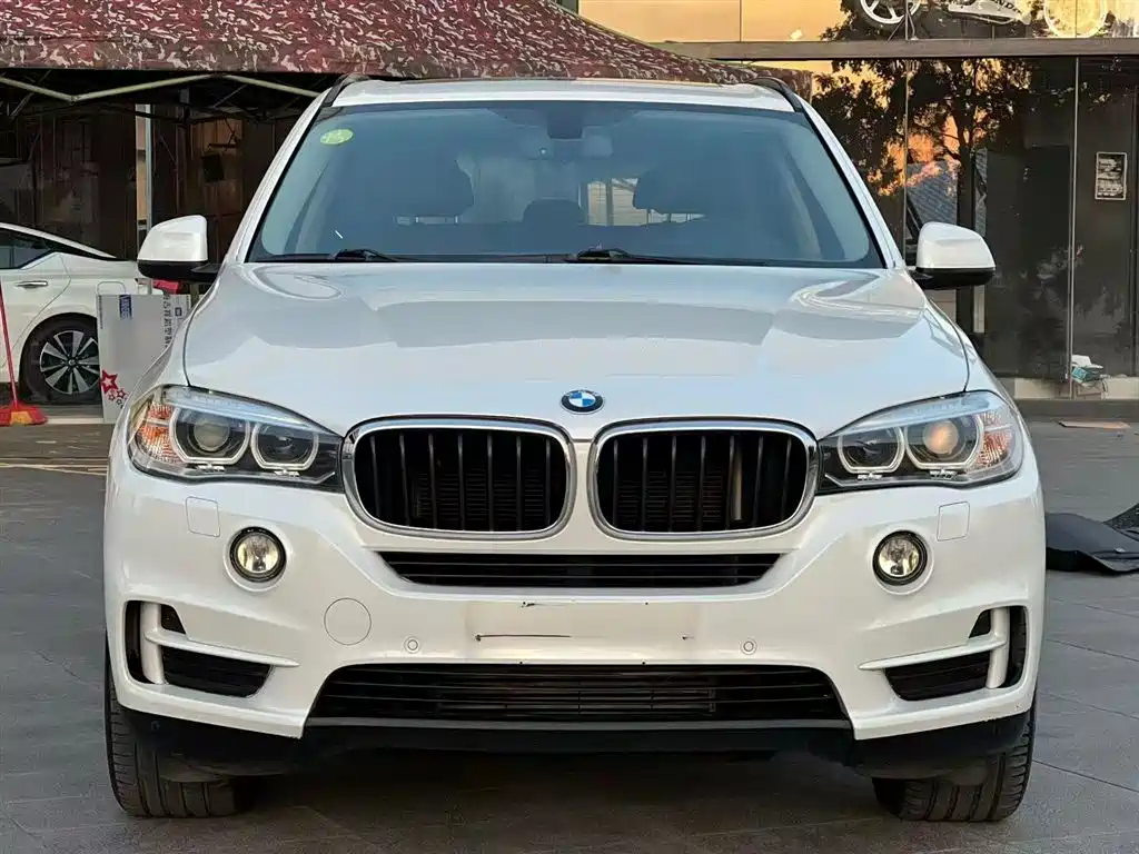 BMW X5 (Import) 2014 xDrive35i Elegance фото 6