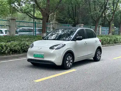 Wuling Bingo