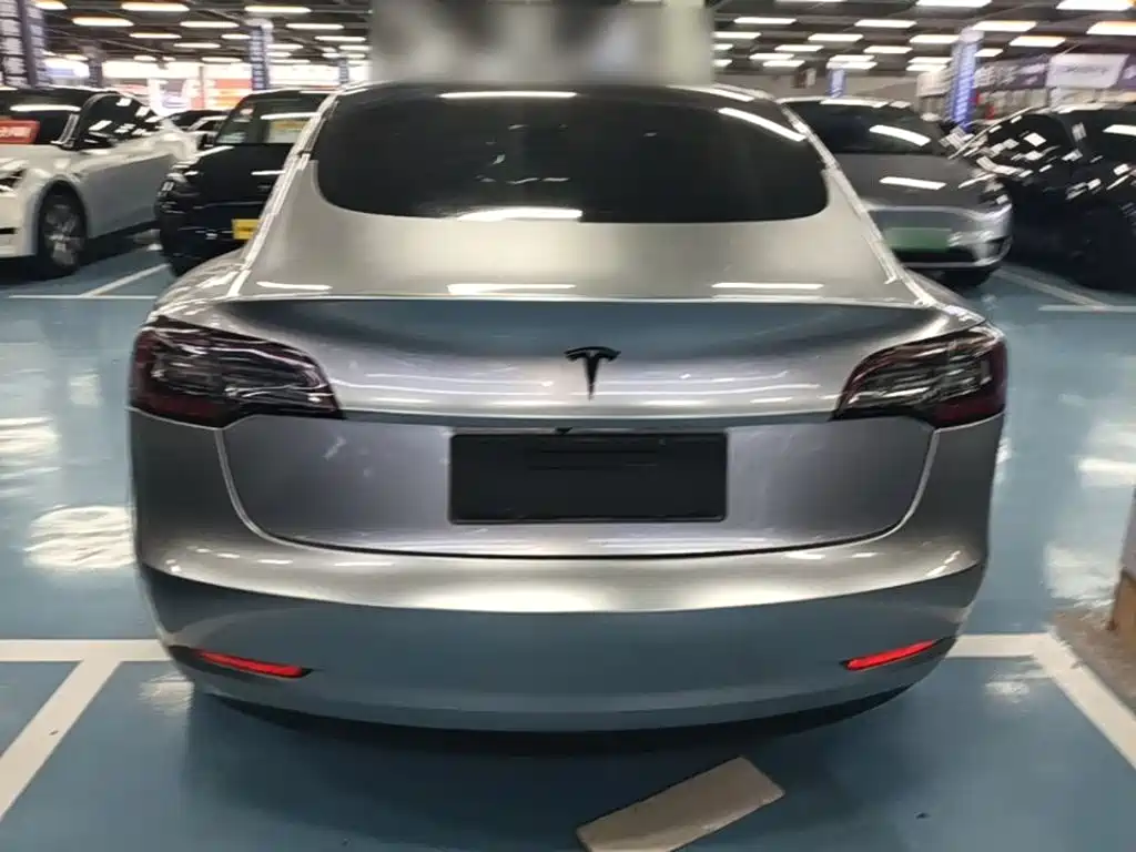 Tesla Model 3 2020 2020 Standard Range Rear-Wheel Drive Upgrade