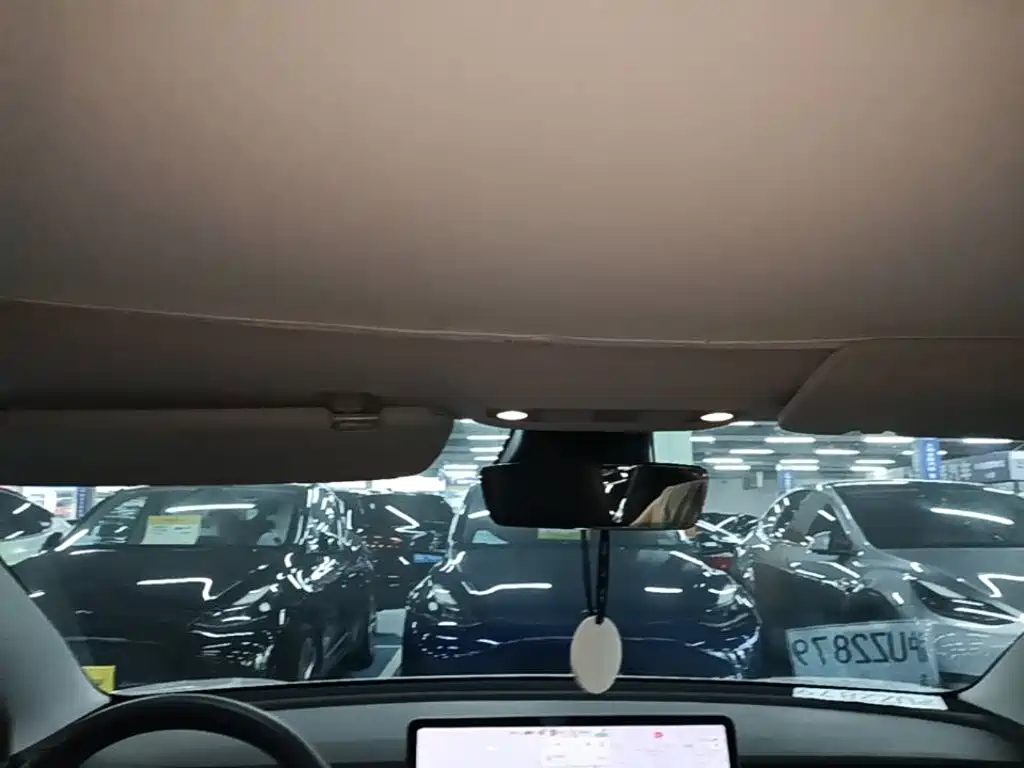 Tesla Model 3 2020 2020 Standard Range Rear-Wheel Drive Upgrade
