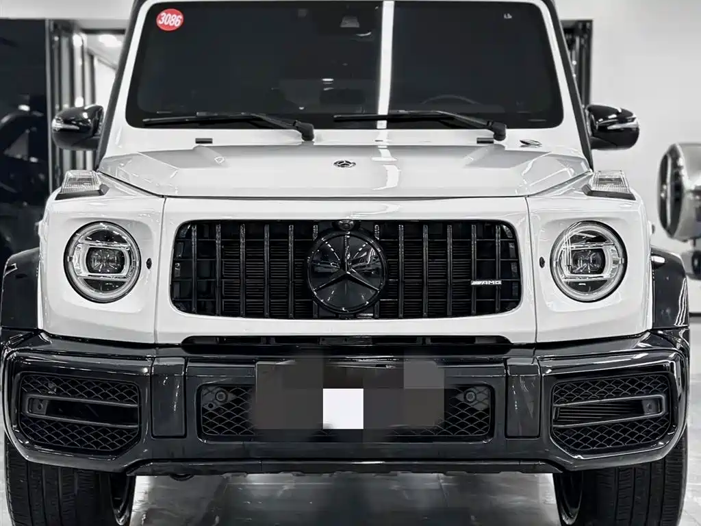 Mercedes-Benz G-Class 2019 G 500 фото 2