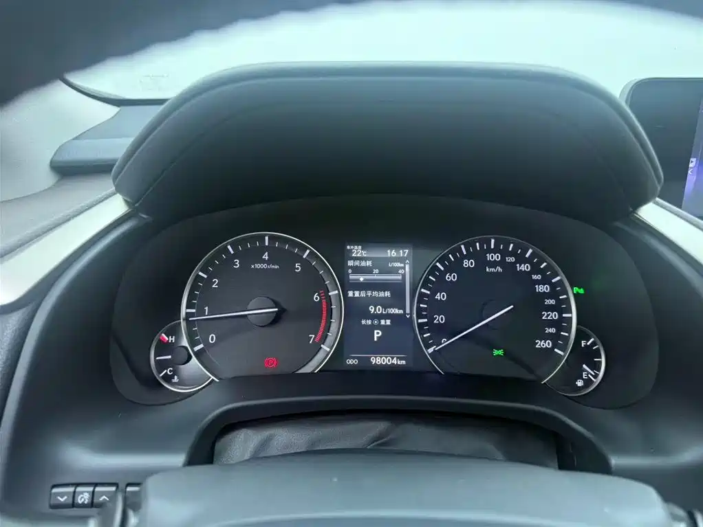 Lexus RX 2016 300 4WD Elegance Edition (China V) фото 6